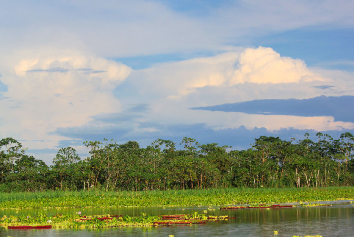 Canoeing through the Amazon